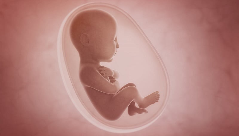 Mang thai tuần 9: Điểm nổi bật của tuần thai này mà mẹ chưa biết